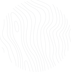 Damilare Tiamiyu Personal Website